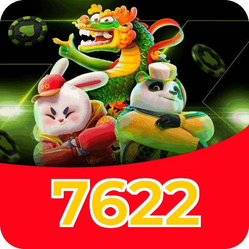 Termos e Condições Transparentes 7622